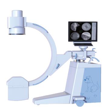 寵物dr怎么挑選？看哪幾大要素