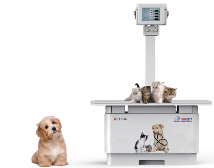 如何選擇寵物DR機(jī)？先了解這4點(diǎn)參數(shù)